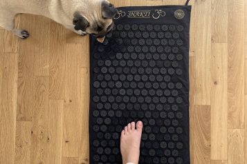 heartofhelen review Shaktimat